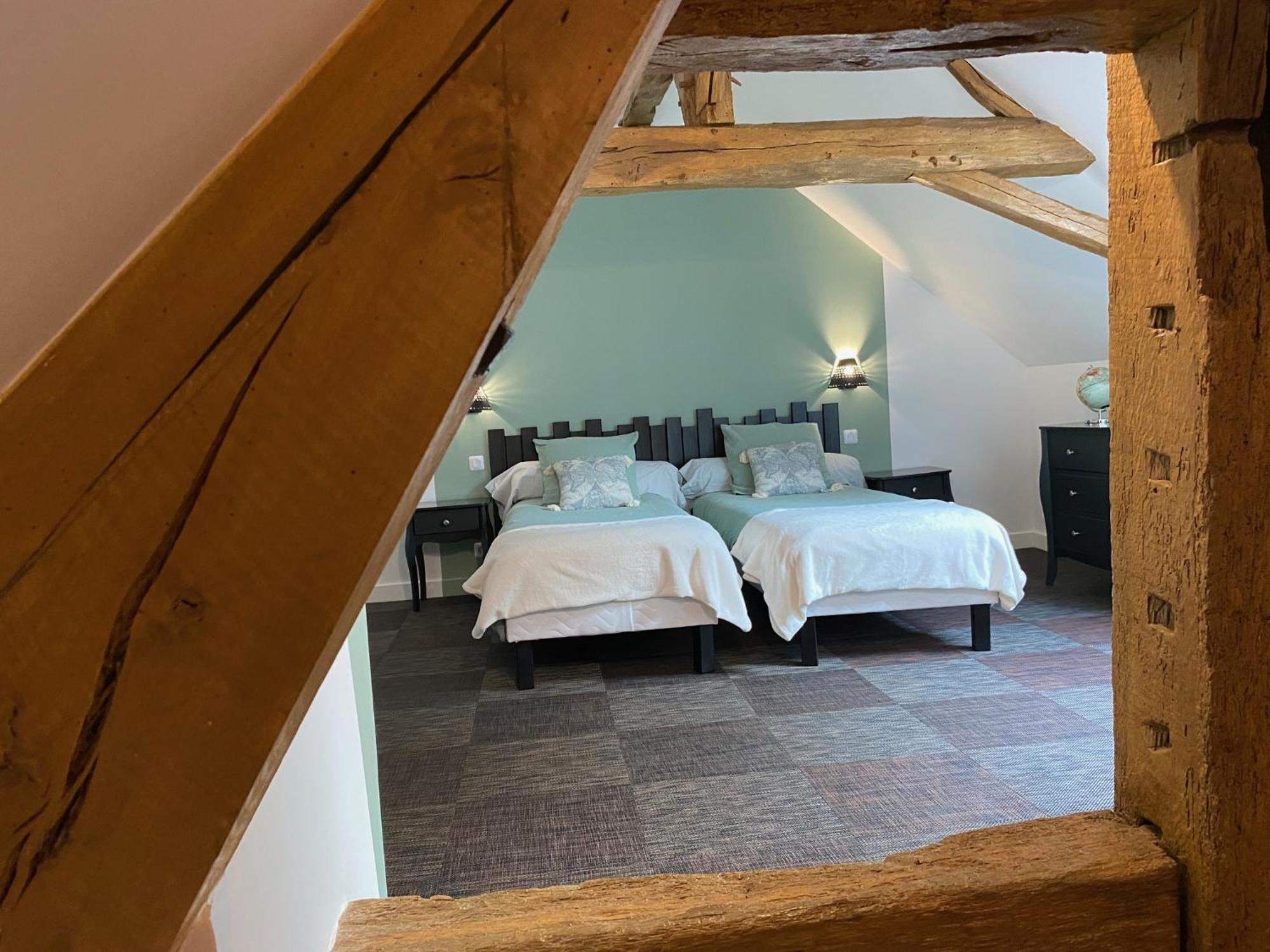 De La Maison De Triboulet- Amboise Holiday home *